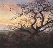 Tree with Crows (mk10) Caspar David Friedrich